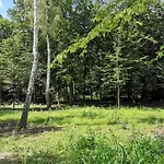 Dom Na Korzeniu * Szynwald