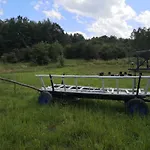 Dom Na Korzeniu *