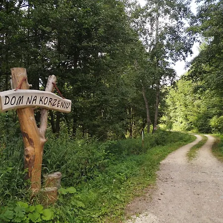 Feriehus Dom Na Korzeniu