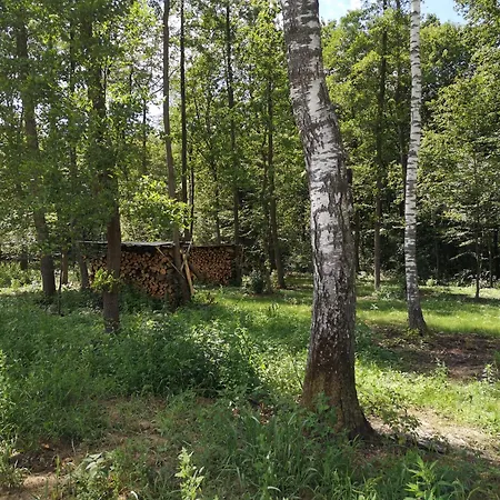 Nyaraló Dom Na Korzeniu *