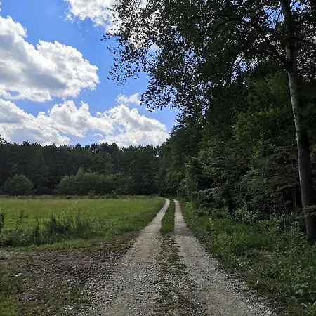 Dom Na Korzeniu