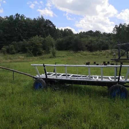 Dom Na Korzeniu *